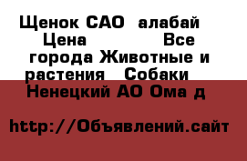 Щенок САО (алабай) › Цена ­ 10 000 - Все города Животные и растения » Собаки   . Ненецкий АО,Ома д.
